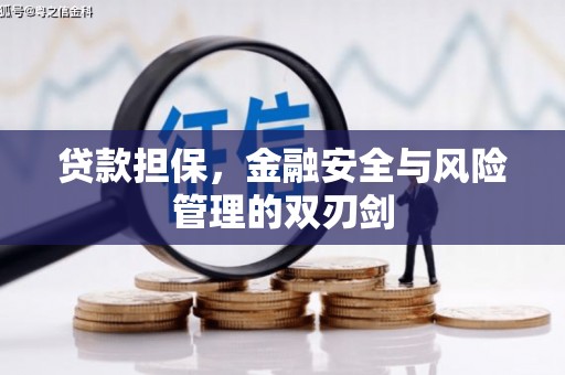 范县贷款担保，金融安全与风险管理的双刃剑