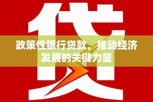 范县政策性银行贷款，推动经济发展的关键力量