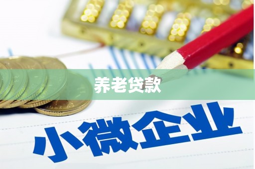 范县养老贷款